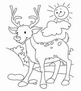Deer Pages sketch template
