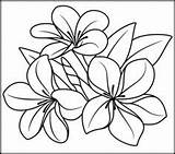 Coloring Flower Pages Plumeria Getdrawings Tropical sketch template