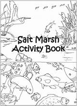 Salt Marsh Activity Book sketch template