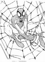 Spiderman Villains sketch template