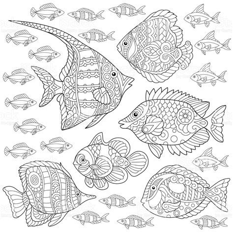 tropical fish coloring pages  adults png colorist