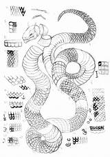 Scales Drawing Zeichnen Crayon Schlange Snakes Drachen Kunst Schlangen Skizze Sketches Fürs sketch template