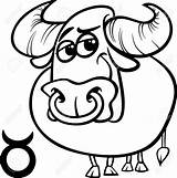 Taurus Coloring Horoscope Illustration Bull Cartoon Shutterstock Zodiac Sign Book 1300px 39kb 1291 sketch template