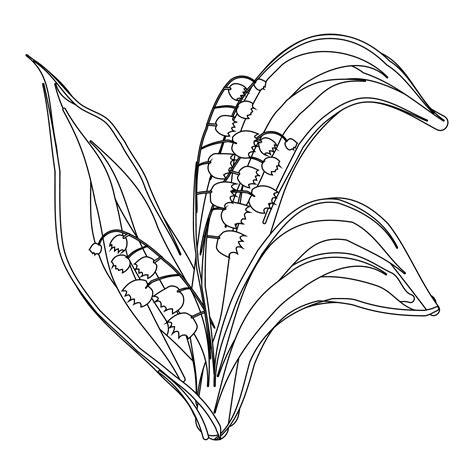 coloring pages flowers  downloads