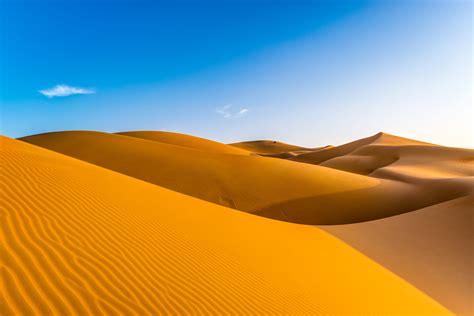 sand dunes talk      creep   desert researchers find
