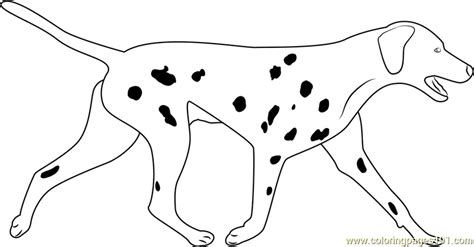 dalmatian dog outline  coloring coloring pages
