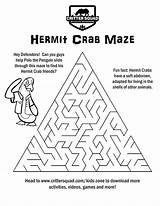 Maze Crab Hermit Mazes Crittersquad sketch template