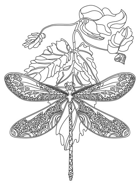 printable realistic dragonfly coloring page kidsworksheetfun