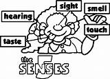 Senses Coloring Pages Wecoloringpage Children sketch template