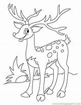 Coloring Antler Getcolorings Deer Horn Looking sketch template
