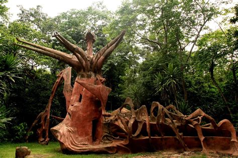 pictures   osogbo sacred grove