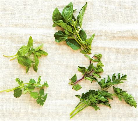 ways   fresh herbs williams sonoma taste