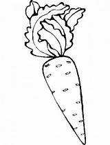 Carotte Zanahorias Zanahoria Coloriages Legumes Infantiles Lechugas Cebollas Pepinos Educación Recursos Menta Tigre Calabaza Relacionados sketch template