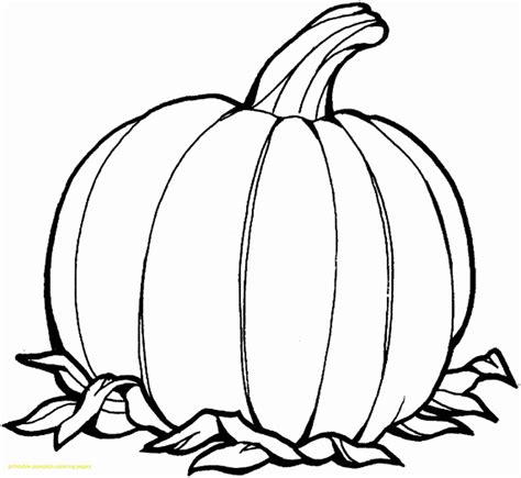 pumpkin outline coloring page  getcoloringscom  printable