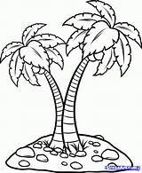 Tree Coconut Drawing Line Clip Getdrawings sketch template