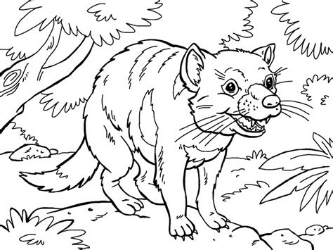 tasmanian devil coloring page coloring pages