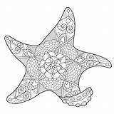 Starfish Vector Adults Coloring Book Illustration sketch template
