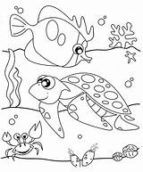 Mewarnai Hewan Binatang Laut Paud sketch template
