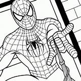 Spiderman Nutshell sketch template