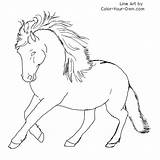 Coloring Newfoundland Pony Pages Dog Drawing Color Drawings Horse Line Own Template Patterns Getcolorings Getdrawings Print Sketch sketch template
