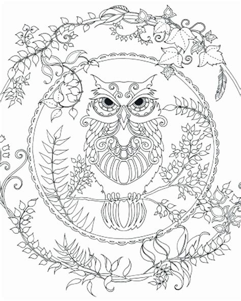 owl adult coloring pages  adult coloring pages owls luxury  owl