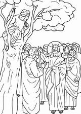 Zacchaeus Coloring Colorat Planse Vindecari Iisus Hristos Miraculoase Minuni Zacheus Preschoolers Catecismo sketch template