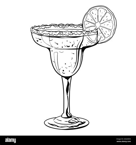 Margarita Cocktail Hand Drawn Cocktail With Ice Mint And Lime Vector