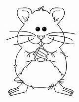 Hamster Criceto Ausdrucken Malvorlagen sketch template