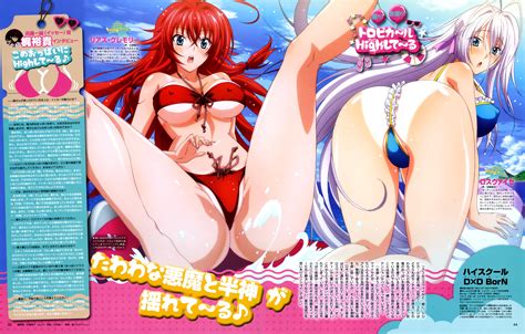 Rias Gremory And Rossweisse High School Dxd And 2 More Drawn By