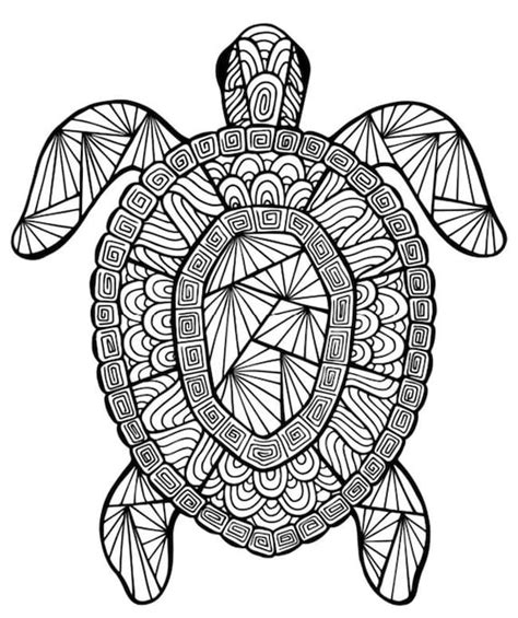 turtle instant  adult coloring pages digital