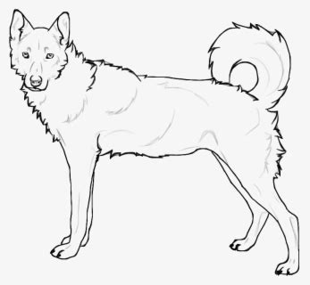 cool cute husky coloring pages siberian  realistic husky