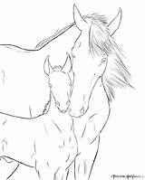 Foal Horse Drawing Mare Getdrawings sketch template