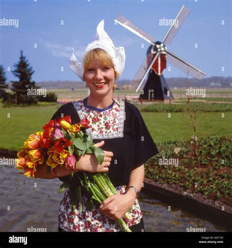 dutch girl  traditional costume holding  huge bunch  red  yellow tulips  windmill