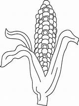 Corn Coloring Pages Stalk Drawing Vegetables Stalks Recommended Color Paintingvalley sketch template