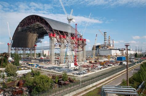 chernobyl hints  natures adaptation   york times