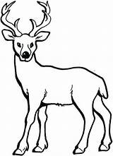 Rudolph Coloring Pages Clipartmag Printable sketch template