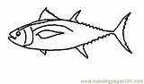 Tuna Clipart Fish Coloring Outline Clip Bigeye Clipartpanda Printable Majority Panda Drawings 291px 53kb Clipground Webstockreview 20clipart sketch template