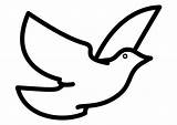 Coloring Dove sketch template
