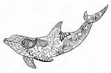 Dolphin Zentangle Choose Board Coloring Pages sketch template