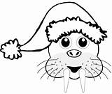 Walrus Clipart Clip Library Coloring Hat Christmas sketch template