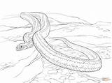 Snake Cobras Snakes Supercoloring Viper Reptiles Eyelash Stampare Lawanna sketch template
