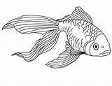Coloring Fish Betta Pages Popular Coloringhome sketch template