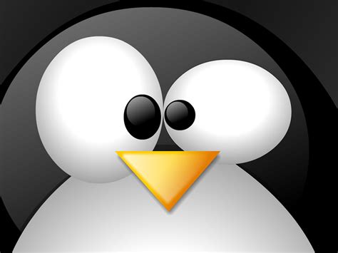 linux logo top desktop