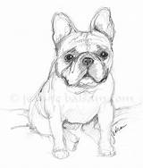 Frenchie Hopeful Worried Bulldogs Define Notecards Awfully Petra Combee sketch template