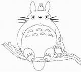 Totoro Coloriage Kiki Ghibli Ausmalbilder Neighbor Miyazaki Coloringhome Limb Buddies Kolorowanki Mieux Colorir 토토로 Valerio 색칠 Fc07 지브리 공부 Colorier sketch template