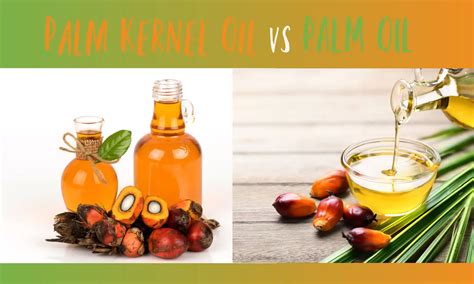 palm kernel oil  palm oil     coconut mama