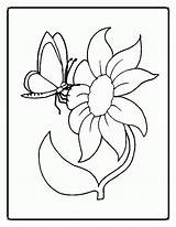 Butterflies Schmetterling Blume Coloringhome Dementia Ausmalbild Letzte sketch template