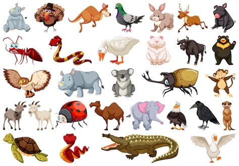 imagenes de animales vertebrados descarga gratuita en freepik