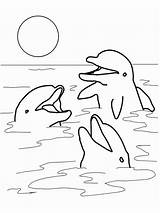Zee Dolfijnen Leukekleurplaten sketch template