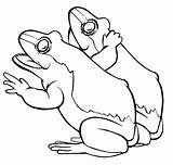Template Mewarnai Katak Grenouille Frogs Colorat Rane Frosch Broaste Animaux Planse Broscute Doua Binatang Pemandangan Sfatulmamicilor Coloriages Fac Oac Clip sketch template